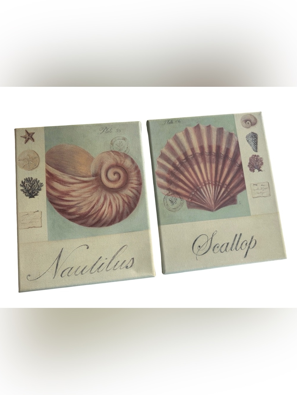 Home Interiors Seashell Canvas Wall Art Set Nautilus Scallop Coastal Beach Decor